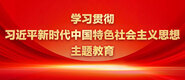 啊啊啊小黄片免费看学习贯彻习近平新时代中国特色社会主义思想主题教育_fororder_ad-371X160(2)